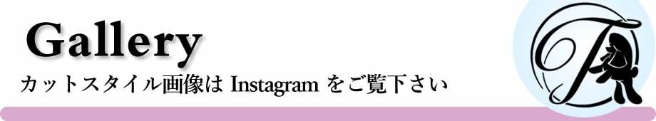 横浜 DOGLIFE SUPPORT TAROIMO カットスタイル キャラリー