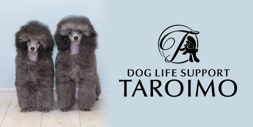DOGLIFE SUPPORT TAROIMO サロン予約・お問合せメールフォーム